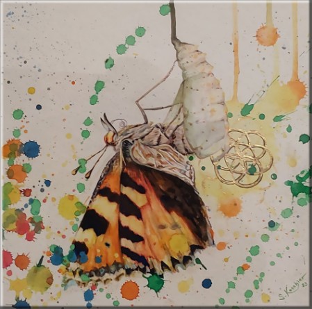 Das Licht des Schmetterlings