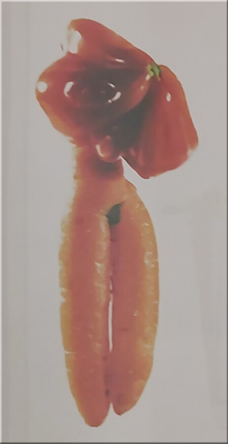 Lust und Last der Anderen 01