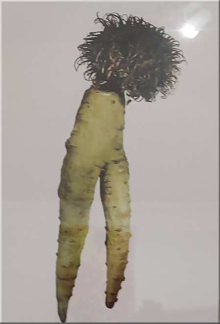 Lust und Last der Anderen 02