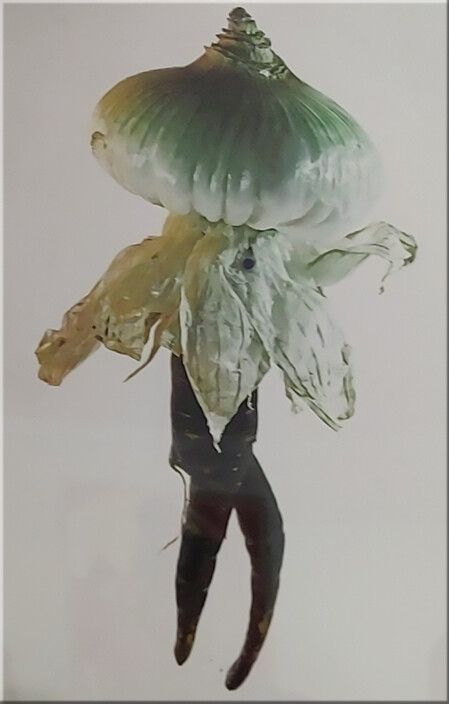 Lust und Last der Anderen 04