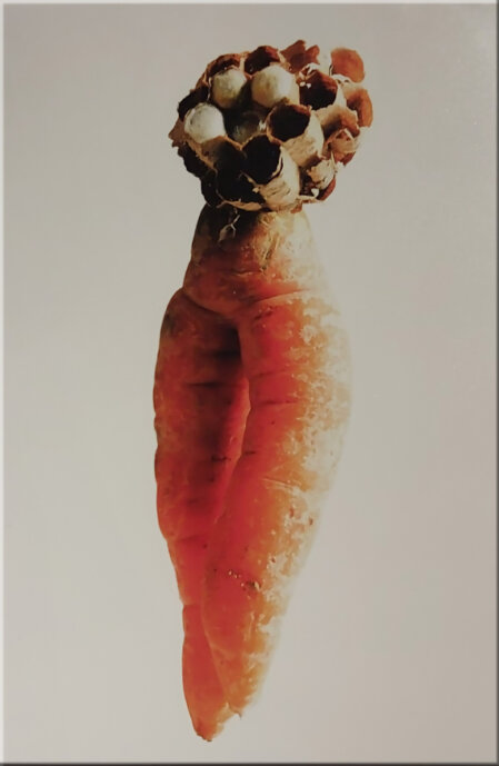 Lust und Last der Anderen 09