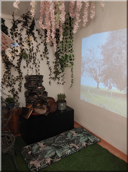 Projektion from home garden