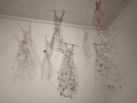 Faszinierend - Luftig zart - Zart wie Spinnengeflecht - Anziehend  - Was mir blüht