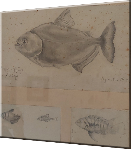 zu den Arbeiten von Tini Uhl